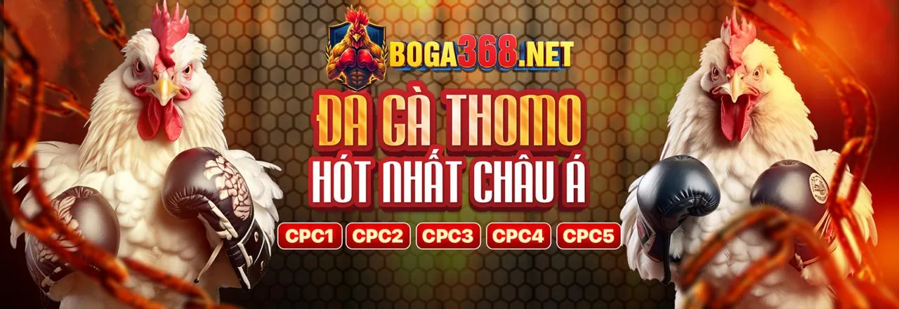 Chiến lược bắn cá nâng cao tại ki bet